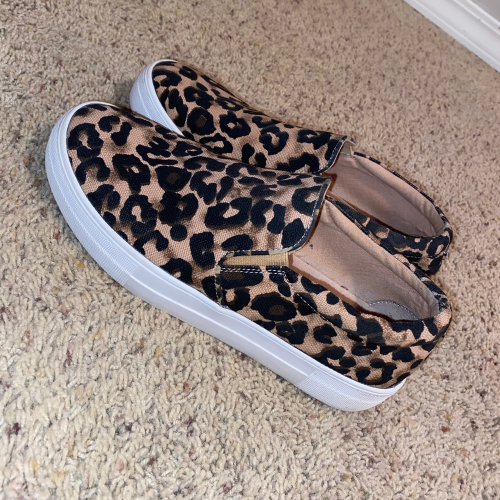 Steve Madden Shoes